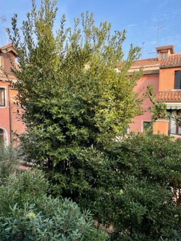 Ca' Della Carita' Apartment Venesia Bagian luar foto